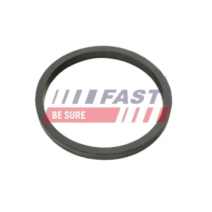 Zniżka Pierścień uszczelniający, chłodnica oleju (smarowanie) FAST FT49924